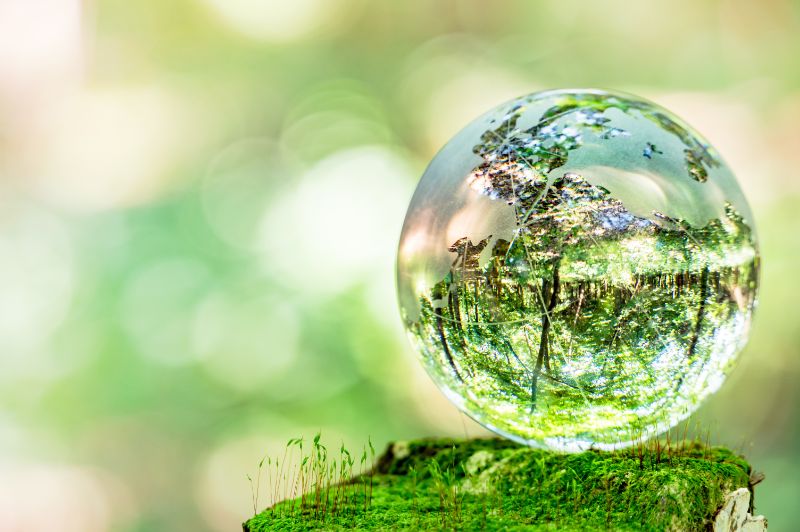 nature8